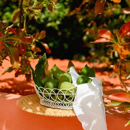 Homeforguest Rural House With Garden El Laurel Tacoronte Luaran gambar