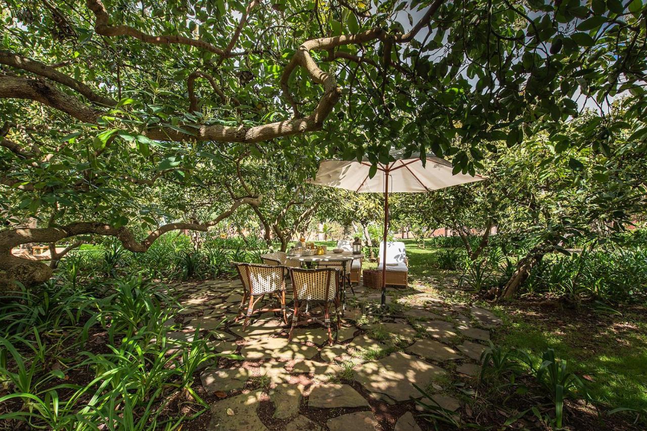 Homeforguest Rural House With Garden El Laurel Tacoronte Luaran gambar