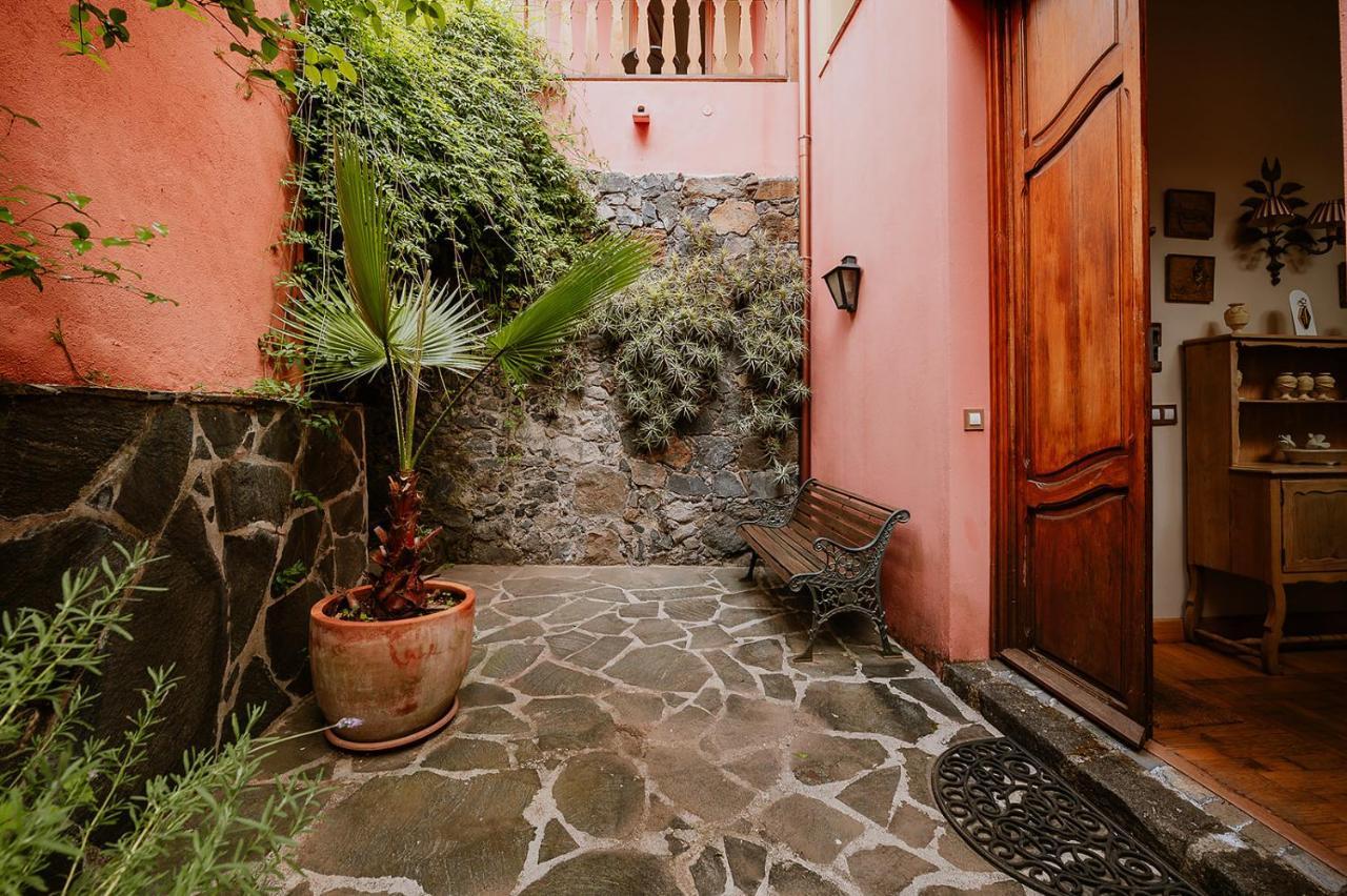 Homeforguest Rural House With Garden El Laurel Tacoronte Luaran gambar