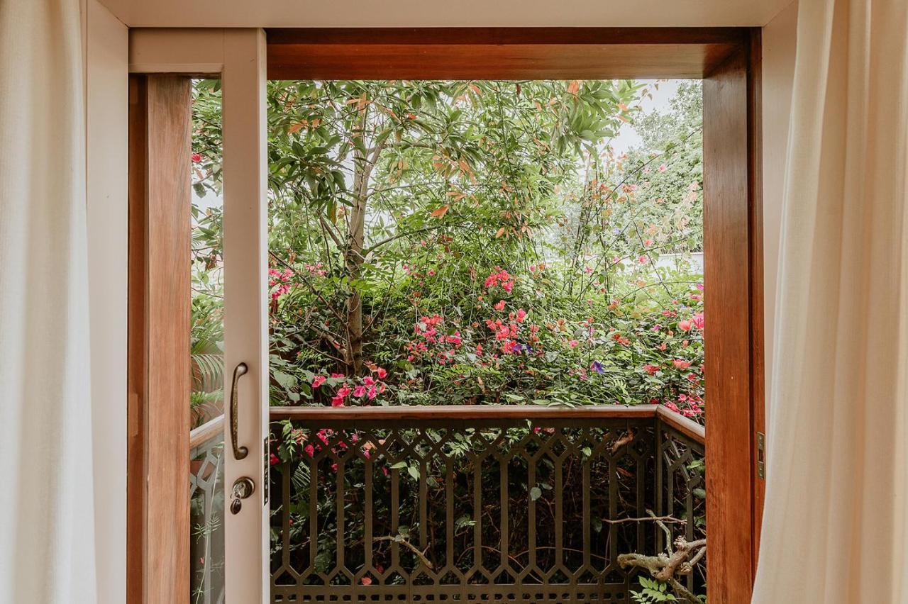 Homeforguest Rural House With Garden El Laurel Tacoronte Luaran gambar