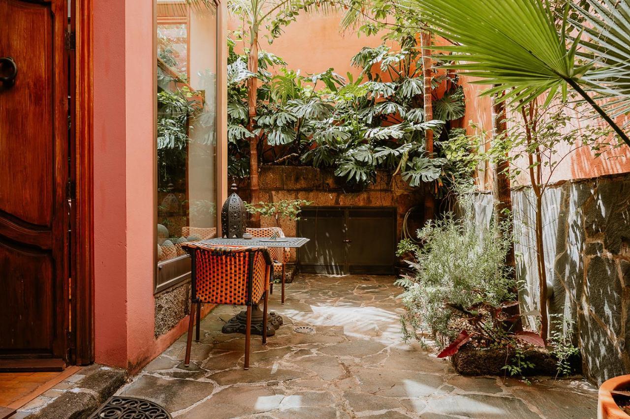 Homeforguest Rural House With Garden El Laurel Tacoronte Luaran gambar