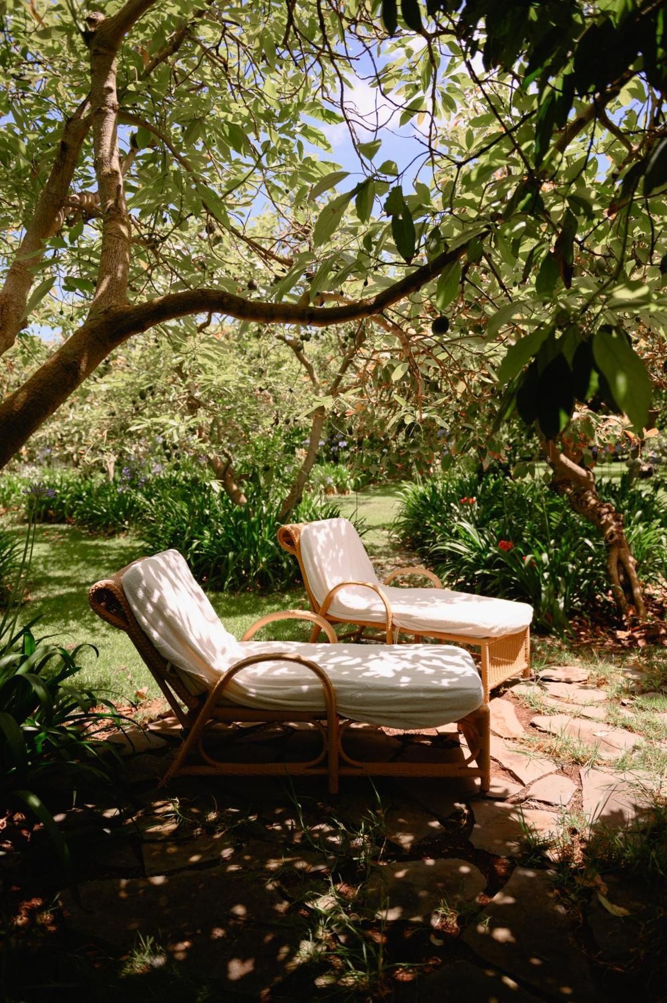 Homeforguest Rural House With Garden El Laurel Tacoronte Luaran gambar